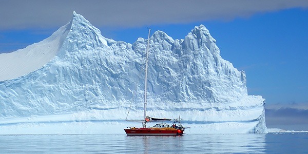 Icebird